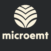 microemt.ru